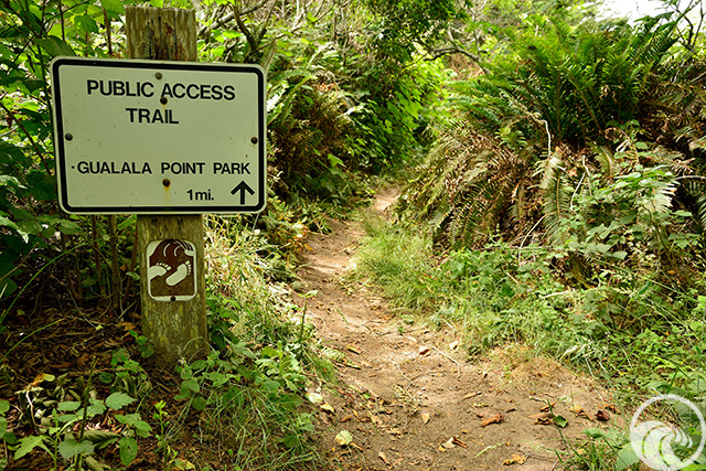 Sea Ranch Blufftop Trail