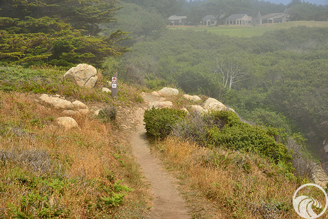 Sea Ranch Blufftop Trail