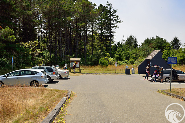 Shell Beach Trail