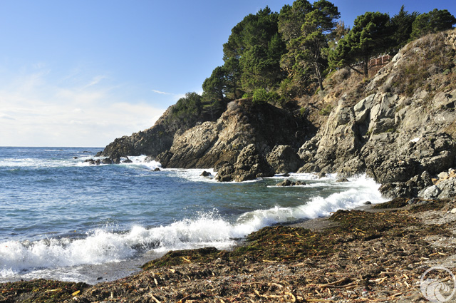 Stillwater Cove Regional Park