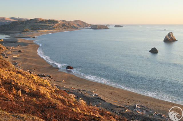 Sonoma Coast State Park