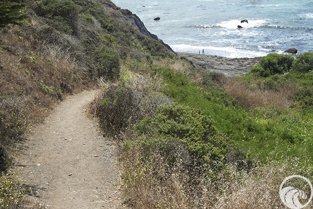 Shell Beach Trail