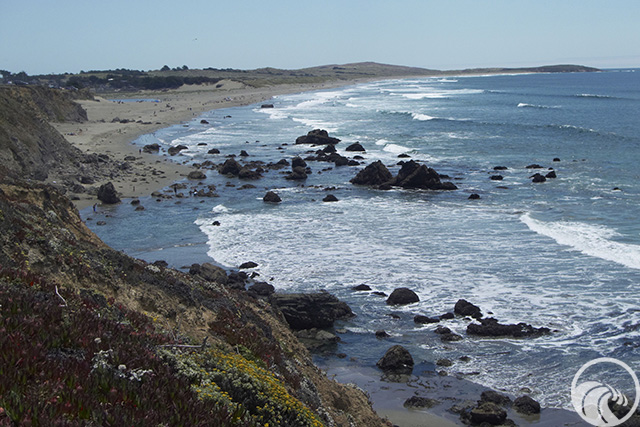 Sonoma Coast State Park