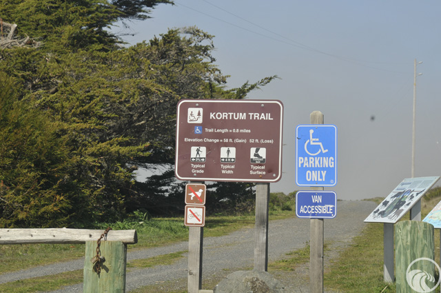 Sonoma Coast State Park