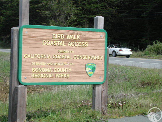 Bird Walk Coastal Access