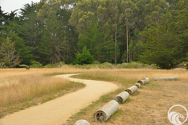 Coastal Prairie Trail