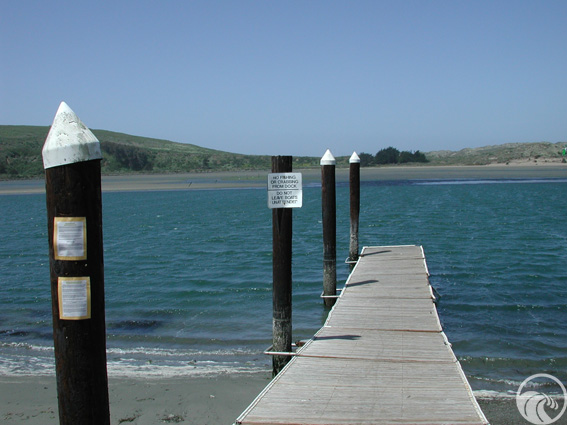 Doran Beach Regional Park
