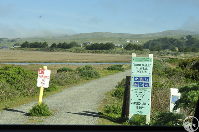 Doran Beach Regional Park