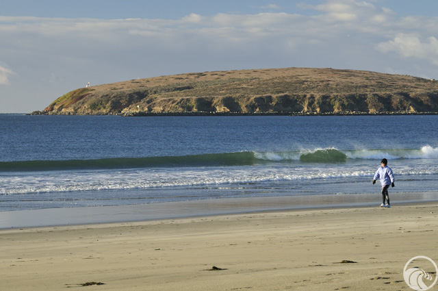 Doran Beach Regional Park