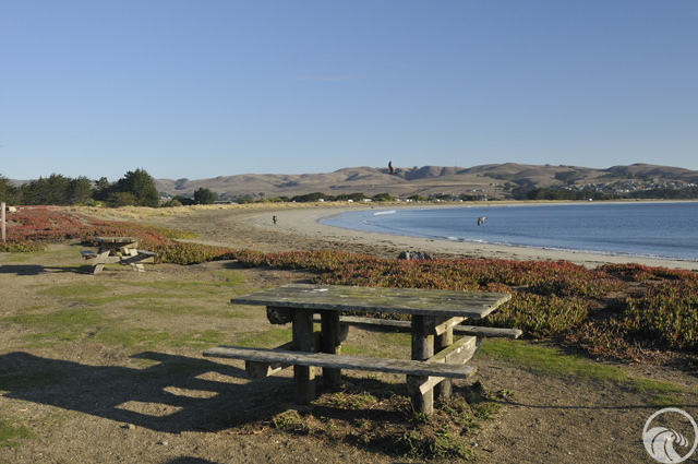 Doran Beach Regional Park
