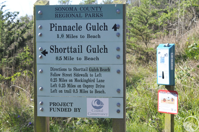 Pinnacle Gulch Trail