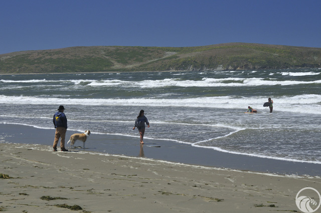 Dillon Beach