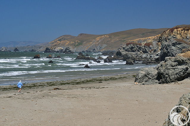 Dillon Beach