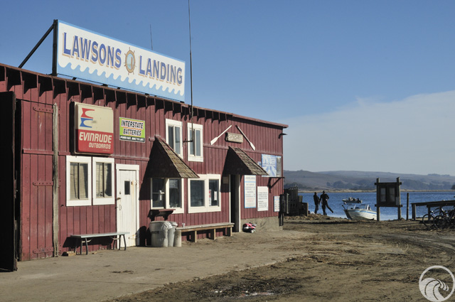 Lawson's Landing
