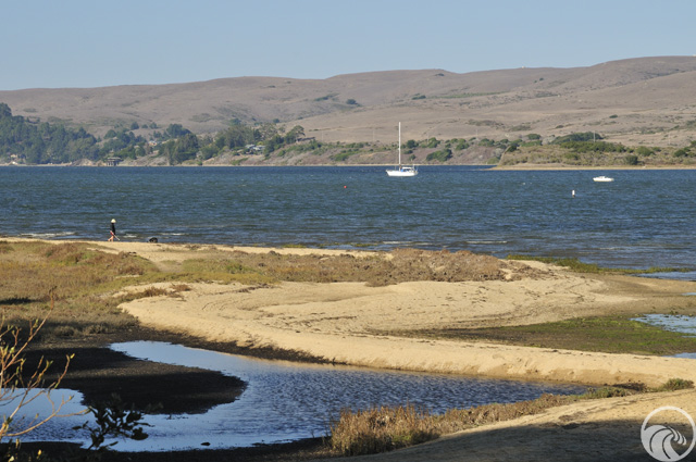 Chicken Ranch Beach