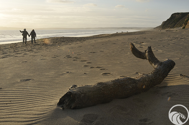 Limantour Beach