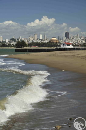 Crissy Field Beach