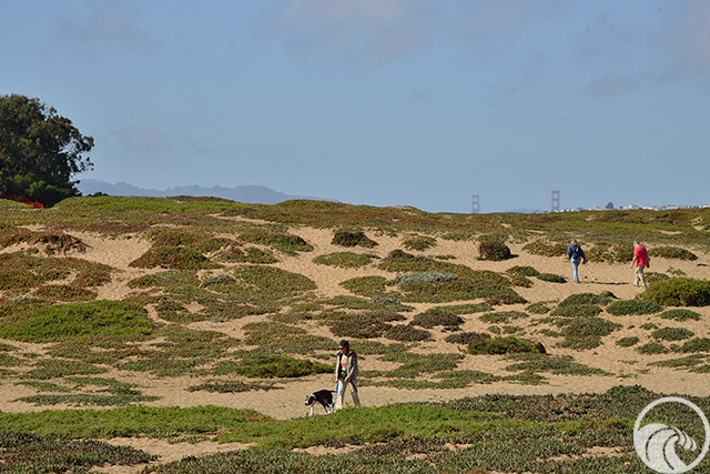 Fort Funston