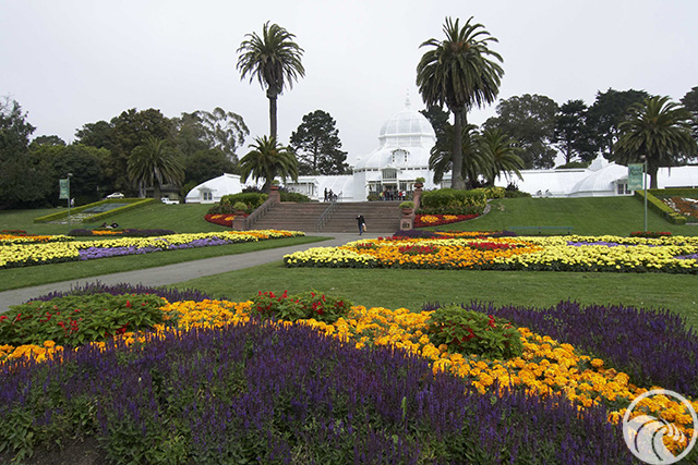 Golden Gate Park