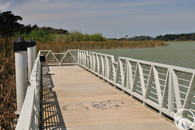 Lake Merced