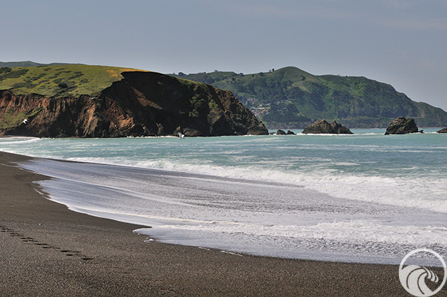Sharp Park Beach