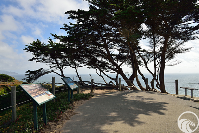 Thornton Beach Vista