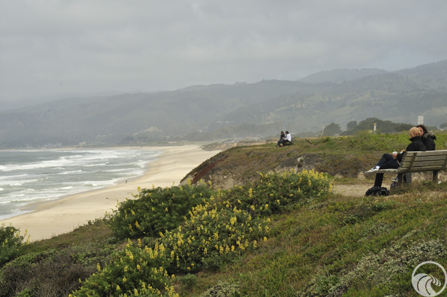 Blufftop Coastal Park