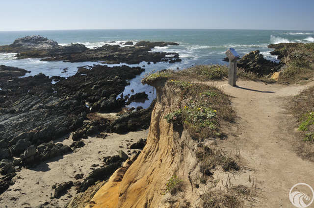 Bean Hollow State Beach