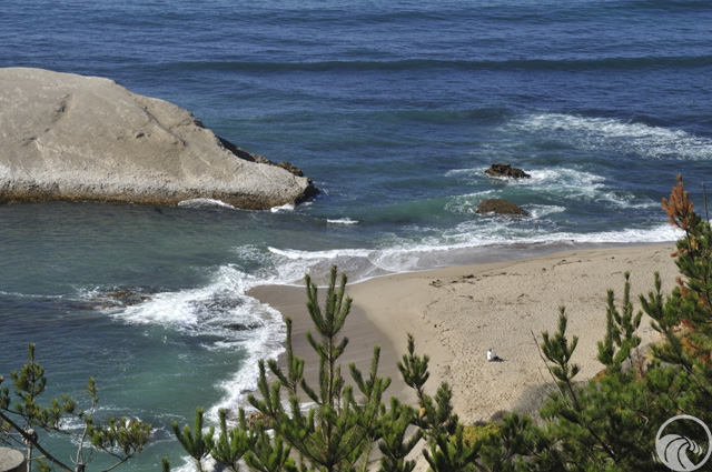 santa cruz county north photo