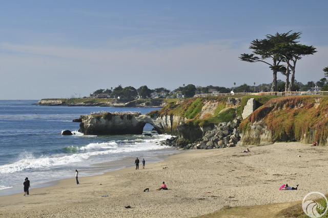 Lighthouse Field State Beach