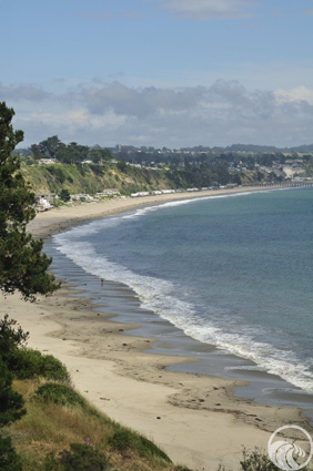 New Brighton State Beach