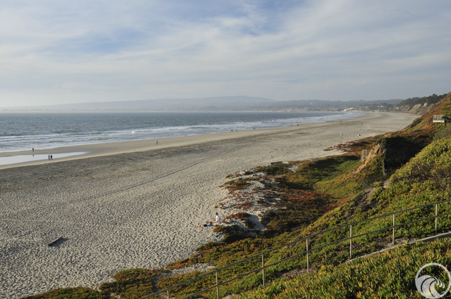 Manresa State Beach
