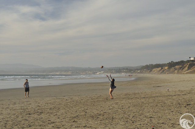 Manresa State Beach