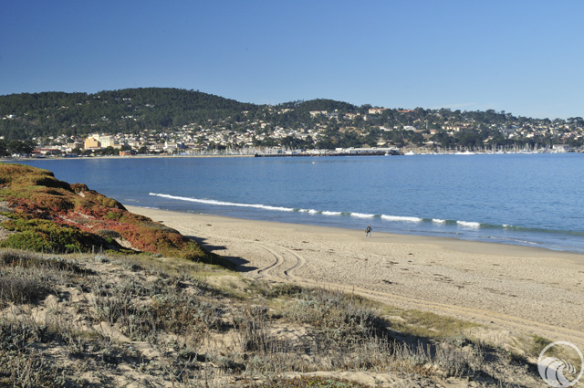 Del Monte Beach