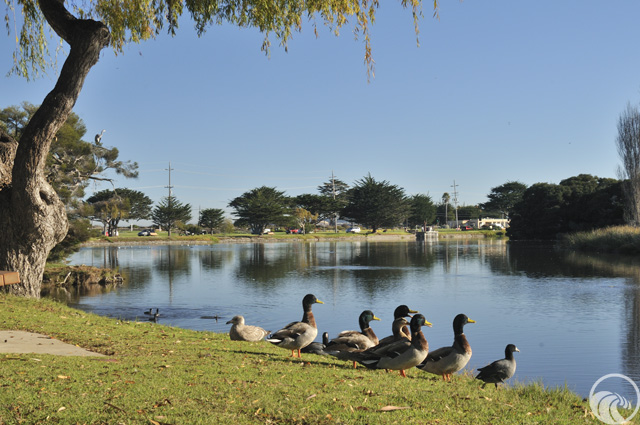 El Estero Park