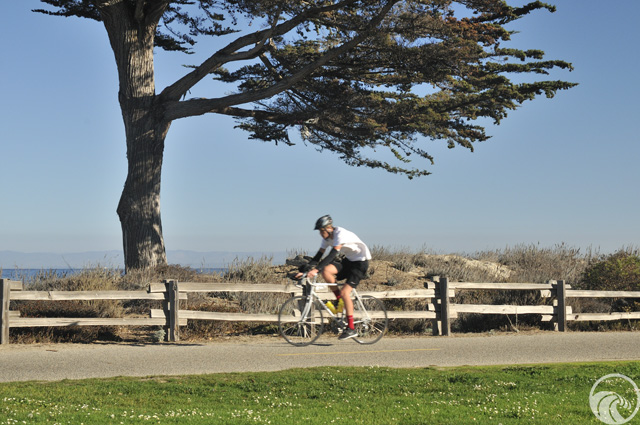 Monterey Bay Sanctuary Scenic Trail (South)