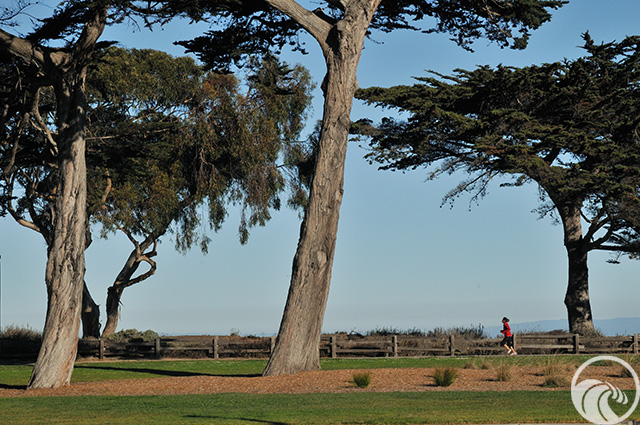 Monterey Bay Sanctuary Scenic Trail (South)