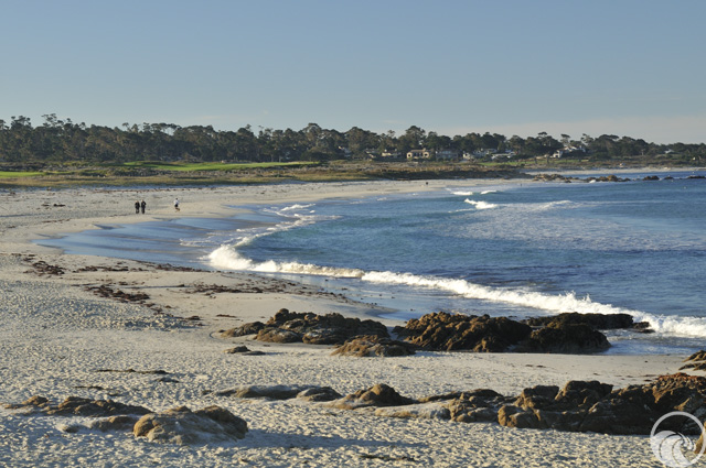 Asilomar State Beach