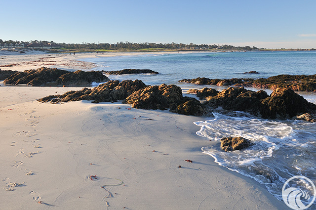 Asilomar State Beach