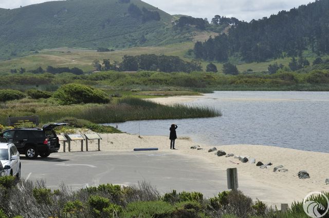 Carmel River State Beach