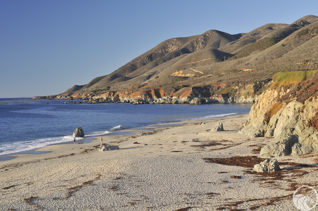 Garrapata Beach