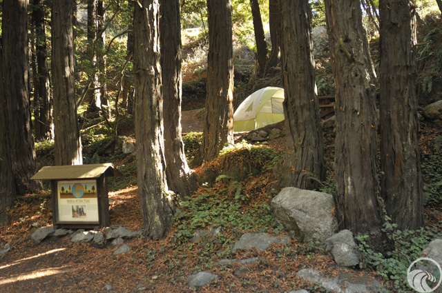 Limekiln State Park