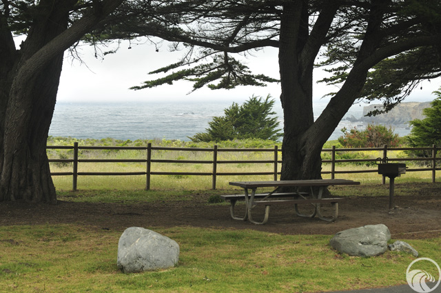 Sand Dollar Beach