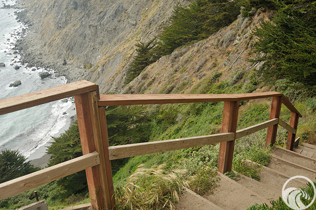 Ragged Point Trail and Overlook