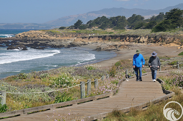 Moonstone Boardwalk