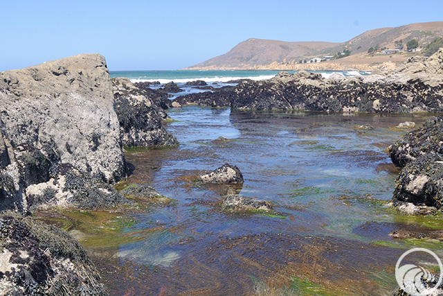 Estero Bluffs State Park