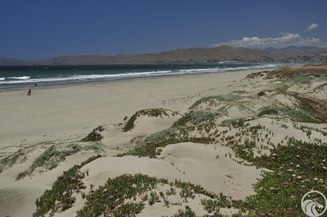 Morro Strand State Beach (North)