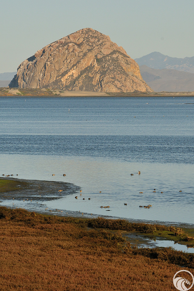 Morro Rock