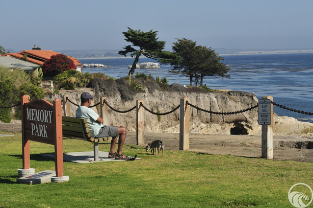 Memory Park