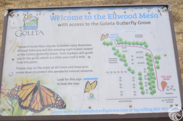 Sperling Preserve at Ellwood Mesa